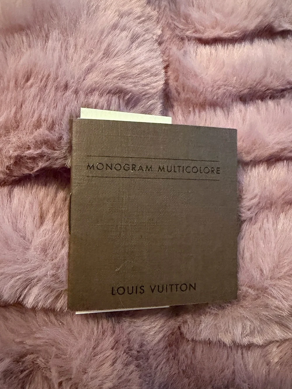 Louis Vuitton Multicolor Monogram Agenda PM Cover